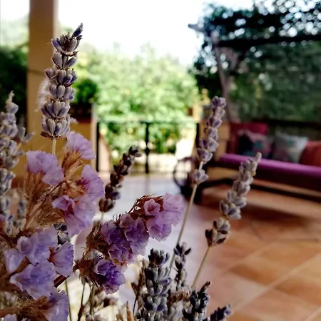 Dom wakacyjny Un Balcone Sul Mare Agrigento
