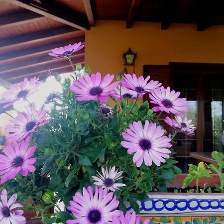 Casa de Férias Un Balcone Sul Mare *
