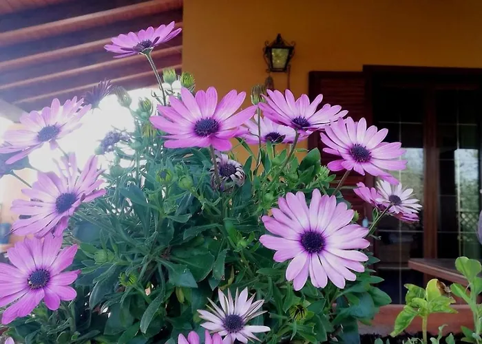 Сasa de vacaciones Un Balcone Sul Mare *